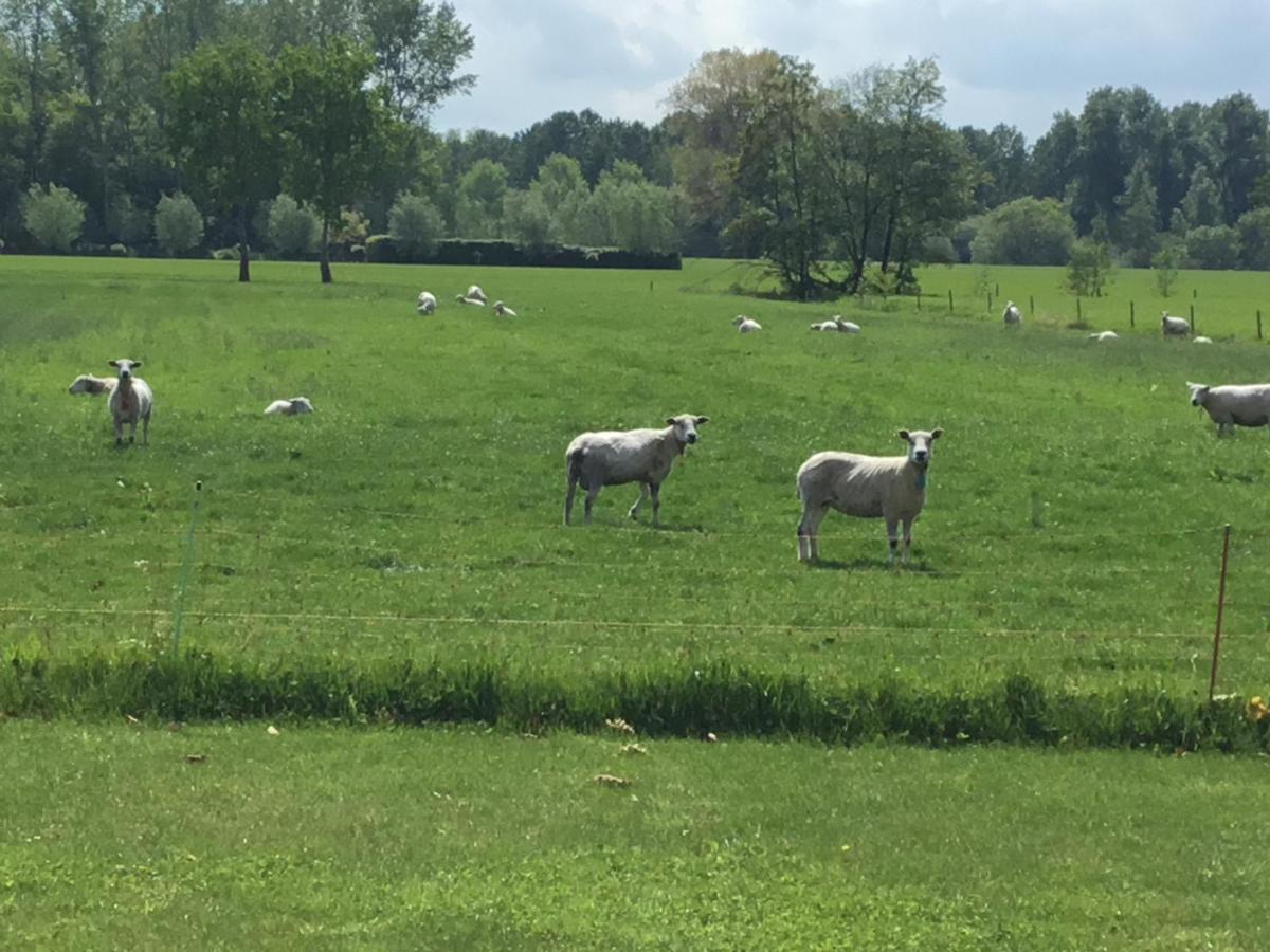 De Weije Wereld Bed & Breakfast Sint-Oedenrode Luaran gambar
