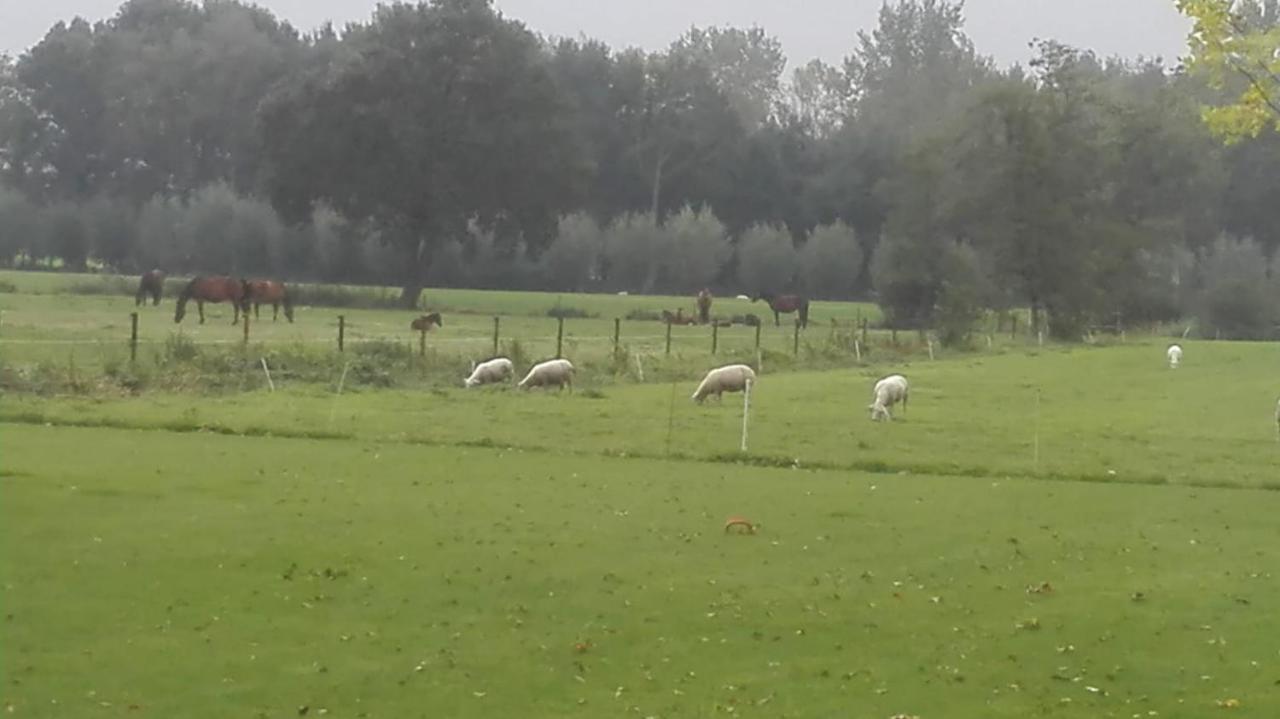 De Weije Wereld Bed & Breakfast Sint-Oedenrode Luaran gambar